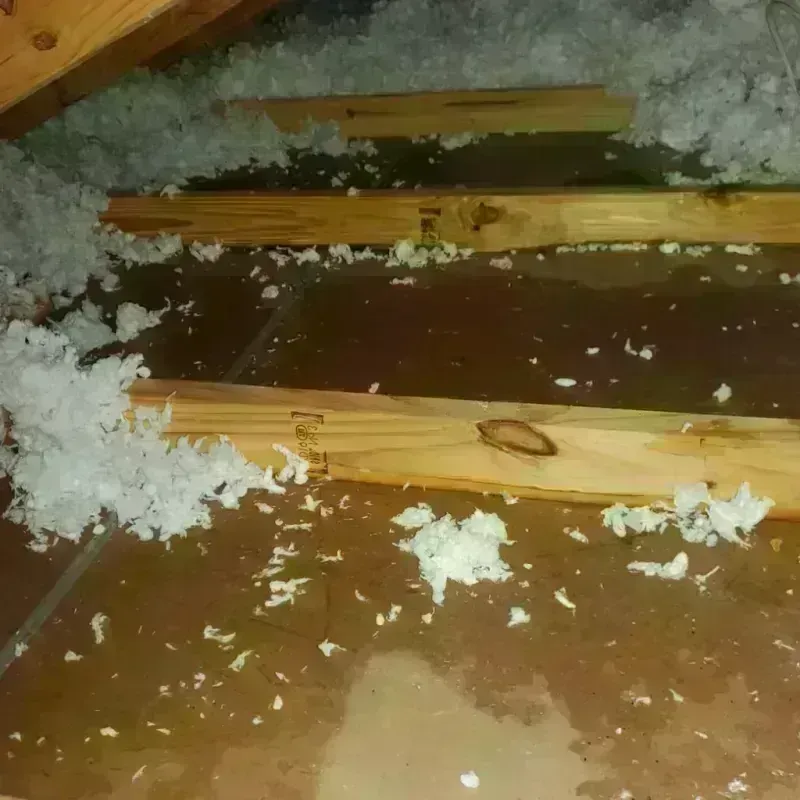 Attic Water Damage in Tannersville, PA